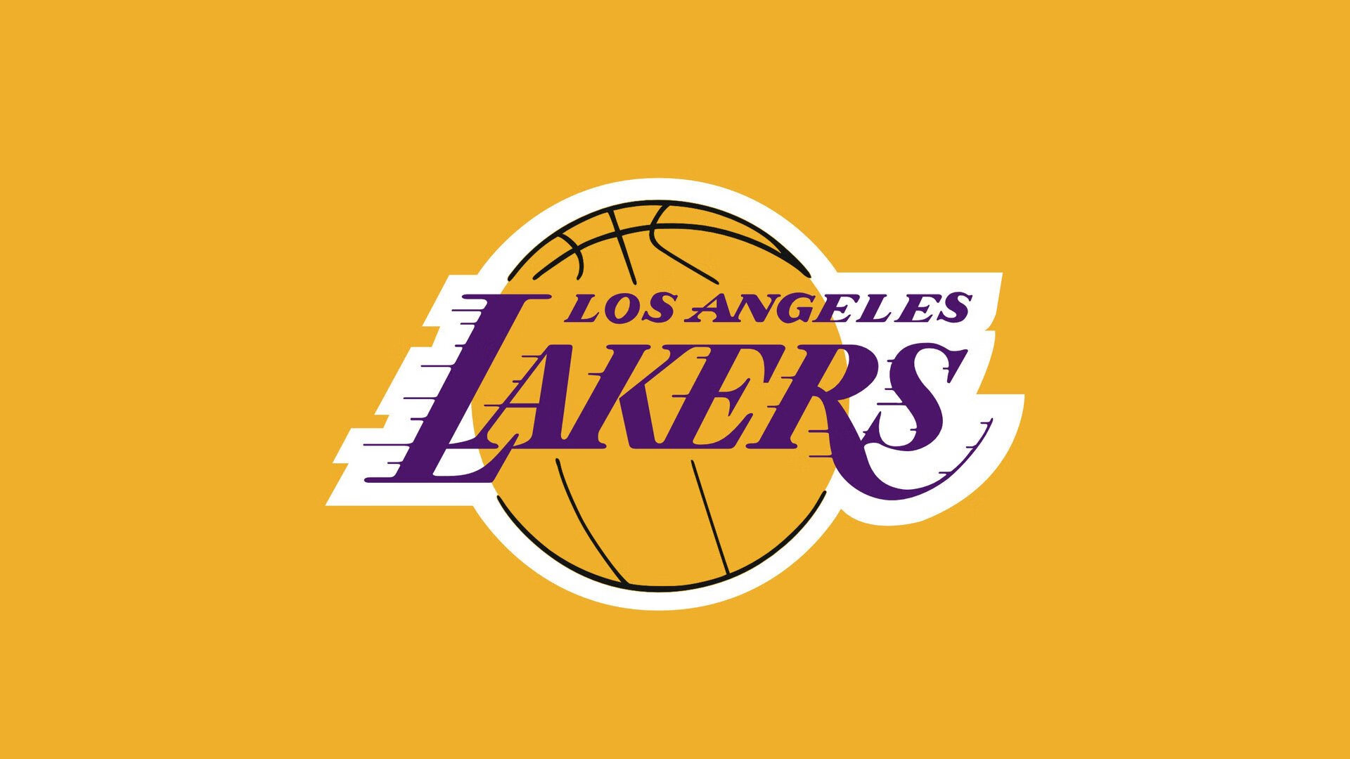 UFC训练营开展专项地面锁技课程